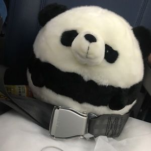 Meet your Posher, Sam